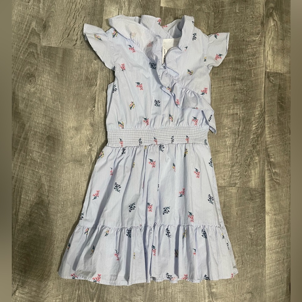 Janie and Jack Light Blue Floral Dress
